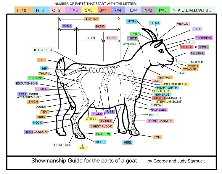 Goat Body Part Chart